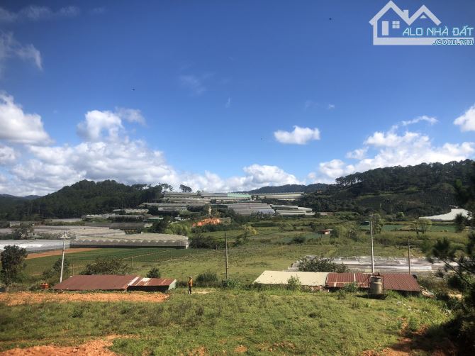 🔥 CƠ HỘI SỞ HỮU ĐẤT NÔNG NGHIỆP VIEW THOÁNG TẠI ĐẠ SAR - LÂM ĐỒNG 🔥 - 3.3 TỶ - 3
