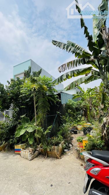 📣CHỈ 3 TỶ (TL)_ĐẤT 80M2, NGANG CHUẨN 5M 🚘ÔTÔ TỚI CỬA🌈NGAY NGUYỄN XIỂN - TP.THỦ ĐỨC❤️ - 3
