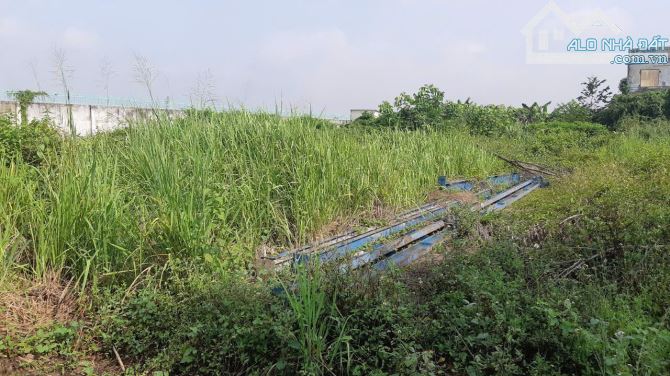 Bán lô đất mặt tiền đường Mỹ, Tân Bình (Bình Hòa cũ), Vĩnh Cửu, 1660m2, giá 10 tỷ. - 4