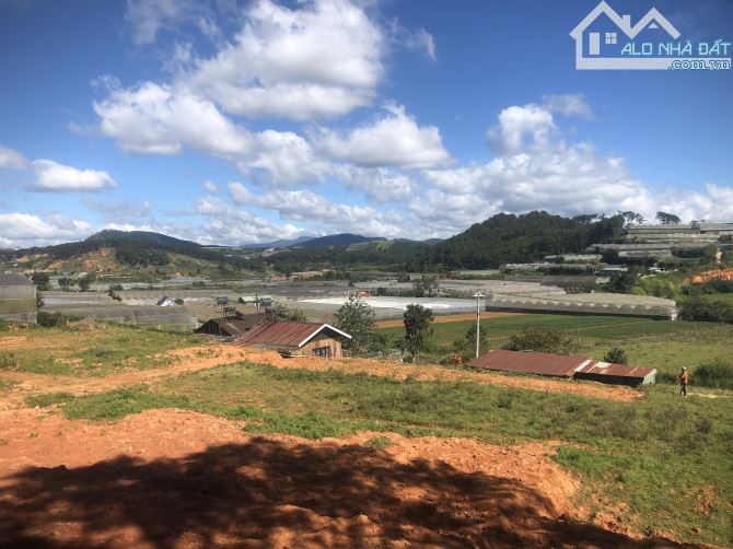 🔥 CƠ HỘI SỞ HỮU ĐẤT NÔNG NGHIỆP VIEW THOÁNG TẠI ĐẠ SAR - LÂM ĐỒNG 🔥 - 3.3 TỶ - 4