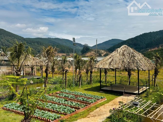 BÁN NHÀ VƯỜN NGHỈ DƯỠNG – VIEW ĐẸP, KHÔNG GIAN THƯ GIÃN TẠI TÀ NUNG – ĐÀ LẠT  - 12.6 TỶ - 4