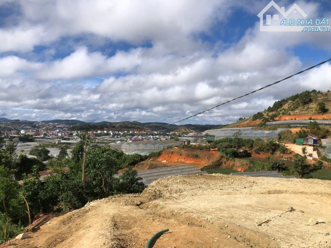 🔥 BÁN ĐẤT NÔNG NGHIỆP NGAY NÚI LANGBIANG – H. LẠC DƯƠNG 🔥 - 6.5 TỶ - 4