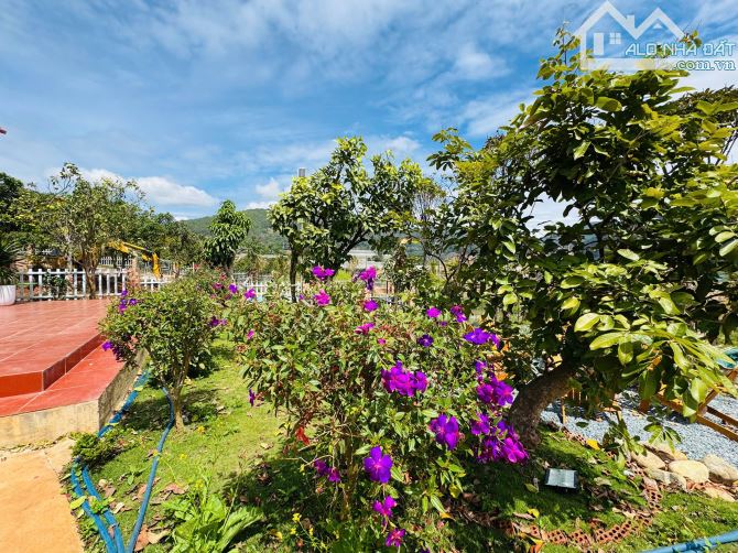 BÁN NHÀ VƯỜN NGHỈ DƯỠNG – VIEW ĐẸP, KHÔNG GIAN THƯ GIÃN TẠI TÀ NUNG – ĐÀ LẠT  - 12.6 TỶ - 5