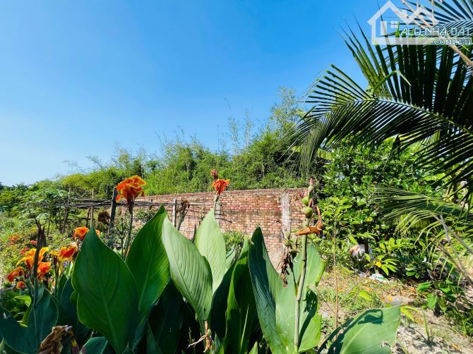 Duy nhất 1 lô 100m2 (5x20) full thổ đường nhựa 6m view sông khu dân trí gần Phạm Văn Đồng - 5