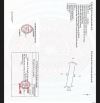BÁN ĐẤT VƯỜN GIÁ TỐT TẠI TÂN THẠCH – CHÂU THÀNH – BẾN TRE