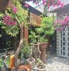 BÁN NHÀ VÕ VĂN HÁT -DT 145M2 - LONG TRƯỜNG - QUẬN 9 NHỈNH 8 TỶ