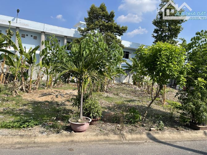 Bán đất ngay chợ Thông Dụng, đường 12m, hạ tầng đẹp, sổ hồng riêng, ngay cạnh công viên - 2