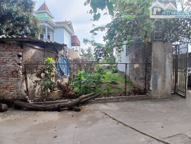 🏡 SIÊU PHẨM TRUNG TÂM TT QUANG MINH MÊ LINH -ĐẤT RỘNG –NGÕ THÔNG Ô TÔ – GIÁ CHỈ 4.68 TỶ