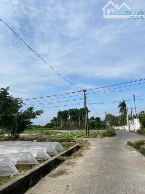 BÁN NHANH 40.8m ĐẤT THỐ BẢO, VÂN NỘI, ĐÔNG ANH, HÀ NỘI.