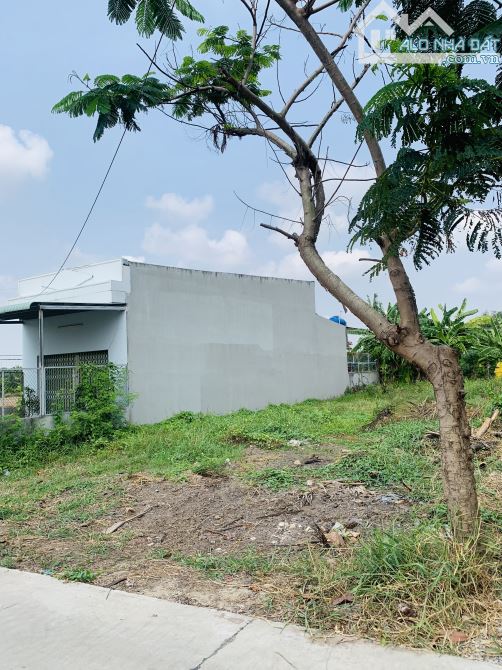 CẦN BÁN LÔ ĐẤT 300m2 MẶT TIỀN ĐƯỜNG BỜ LÁT XÃ THANH PHÚ BẾN LỨC