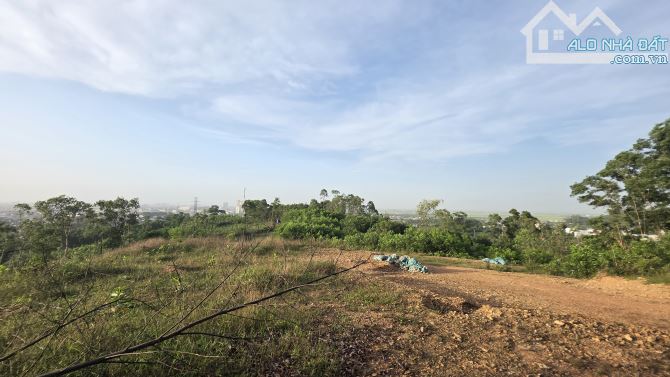BÁN 2600M2 ĐẤT TRỒNG CÂY LÂU NĂM, THỦY DƯƠNG, HƯƠNG THỦY