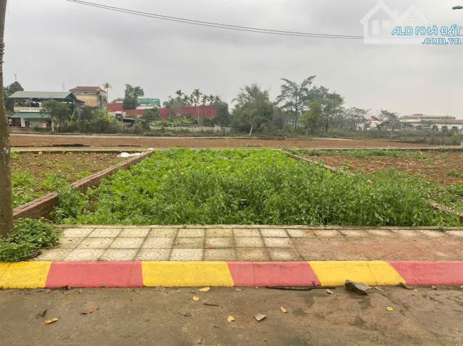 BÁN GẤP ĐẤT MẶT BIỂN THỊNH LONG 82M2 FULL THỔ– GIÁ CHỈ NHỈNH 1 TỶ!! - 1