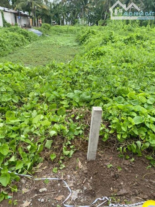 Bán đất diện tích 3600m² (200m² ONT) tại Tân Phú Thạnh, Châu Thành A, Hậu Giang