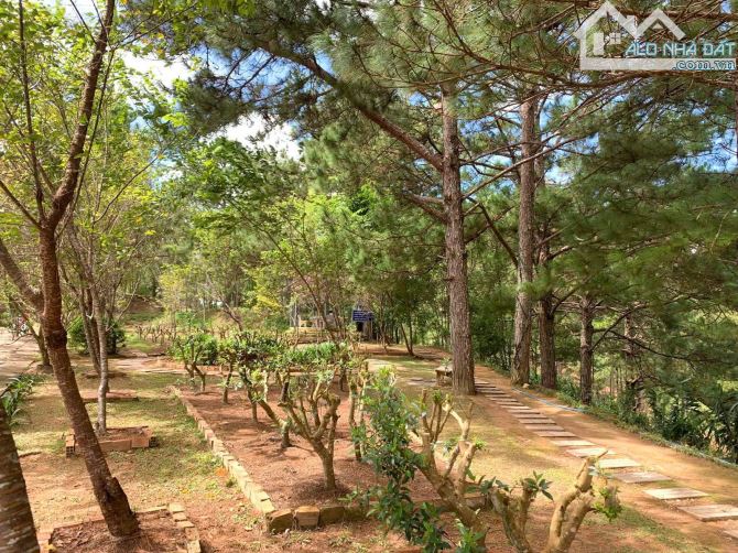 ❣️ BÁN ĐẤT MẶT TIỀN KQH AN SƠN, P.4 – ĐÀ LẠT (THỰC TẾ)