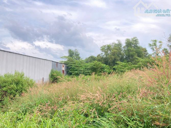Bán đất  Bình Minh. TB. 250m2 SHR, thổ cư. Cách QL.1A 200m, giá chỉ 1ty550