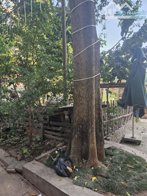 ĐẤT ĐỊNH CÔNG 130M, MT7M, Ô TÔ VÀO NHÀ, CHÀO 1,8 TỶ.