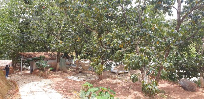 Bán 6 xào đất mặt nhựa Trại mát - p11 - Đà Lạt .  Gía 13 tỷ8 - 10