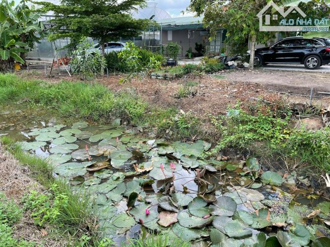Cần bán đất + nhà vườn ở nghĩ dưỡng mặt tiền view kênh sông xã Thái Mỹ 5300m2 - 11
