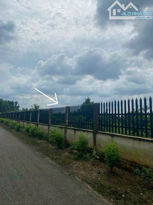 Bán Lô đất mặt tiền đường nhưa 10m, gần Ủy Ban Bình Lợi, Vĩnh Cửu, hơn 1ha, giá 38 tỷ. - 1