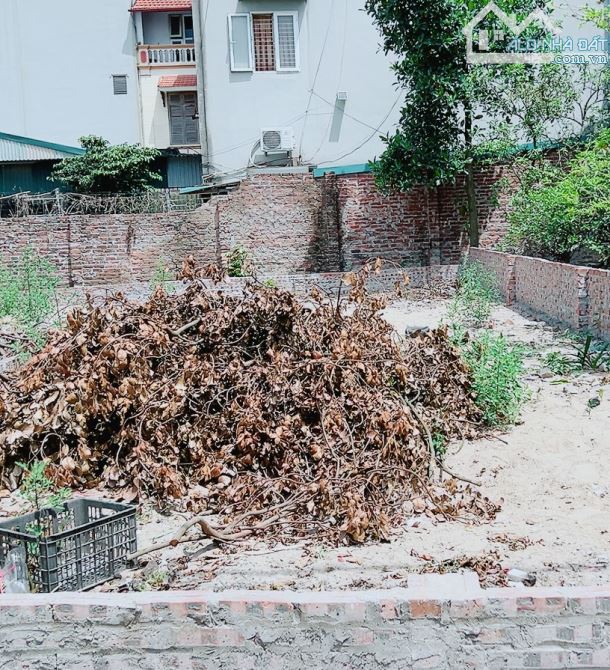 Hoa hậu Hải Bối _Đông Anh ngõ thông ô tô ngủ trong đất hàng xóm thành phố thông minh 53m - 1