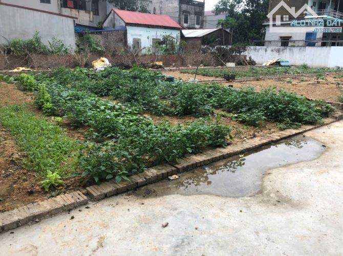 Bán đất Dược Hạ, Tiên Dược , Sóc Sơn diện tích 87m2 tài chính nhỉnh hơn 2 tỷ - 1