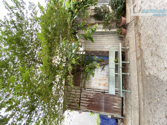 BÁN LÔ ĐẤT ĐẸP VUÔNG VỨC 5 X 16.5 83M2 - KHU PHÂN LÔ - XE HƠI ĐƯỜNG LÒ LU - TRƯỜNG THẠNH - 1