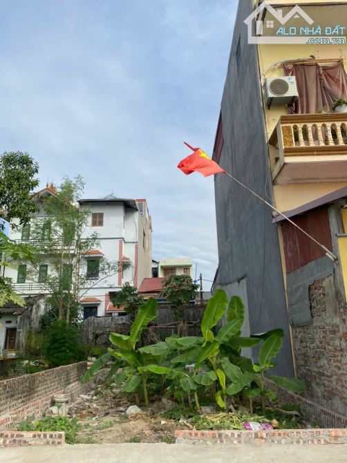 BÁN NHANH 40.8m ĐẤT THỐ BẢO, VÂN NỘI, ĐÔNG ANH, HÀ NỘI. - 1