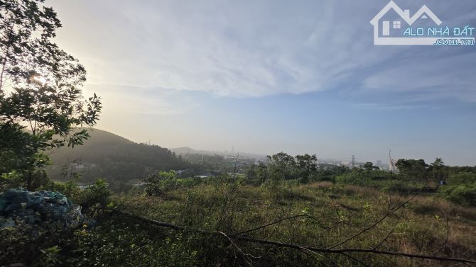 BÁN 2600M2 ĐẤT TRỒNG CÂY LÂU NĂM, THỦY DƯƠNG, HƯƠNG THỦY - 1