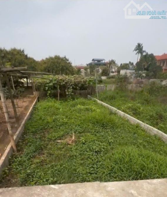 Bán Đất Thư Phú – Thường Tín – 55m² Vuông Vắn, Giá Chỉ Nhỉnh 2 Tỷ - 1