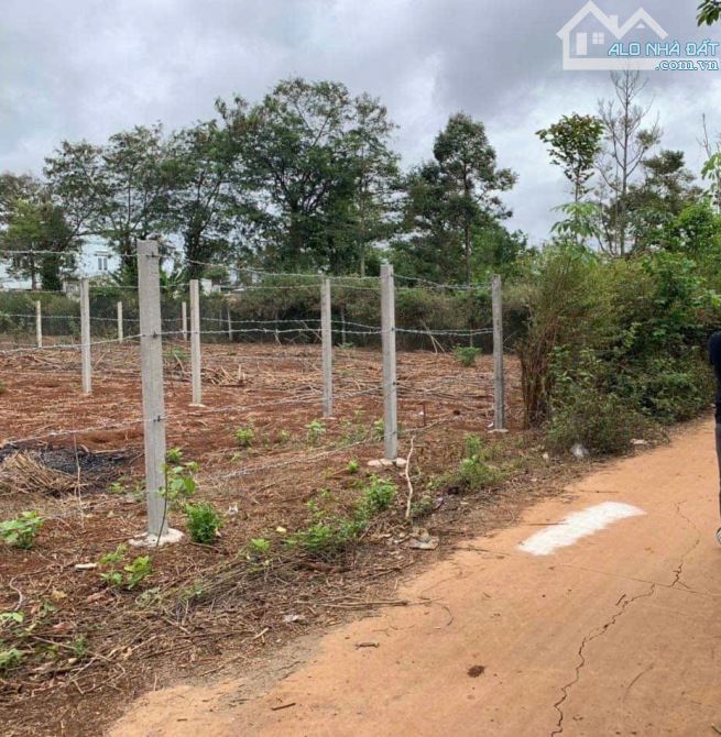 ĐẤT LÀM NHÀ VƯỜN NGUYỄN XUÂN NGUYÊN EANAO A : GIÁ 2.7 tỷ - 1