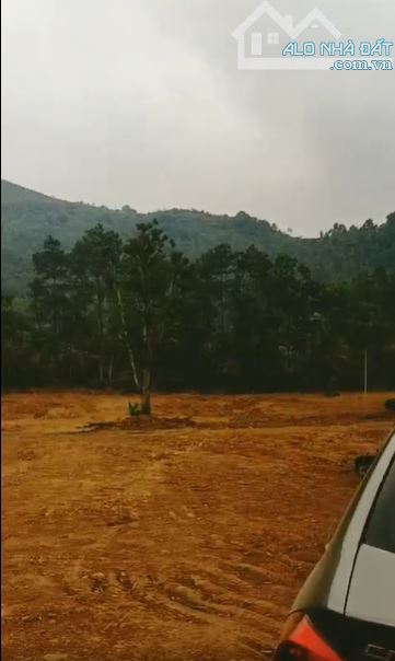 BÁN LÔ ĐẤT VÀNG 8000M² - ĐƯỜNG BÃI DÀI, TIẾN XUÂN, THẠCH THẤT - CƠ HỘI ĐẦU TƯ HIẾM CÓ! - 1