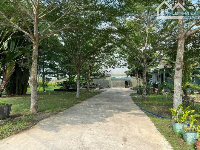 Cần bán đất + nhà vườn ở nghĩ dưỡng mặt tiền view kênh sông xã Thái Mỹ 5300m2 - 1