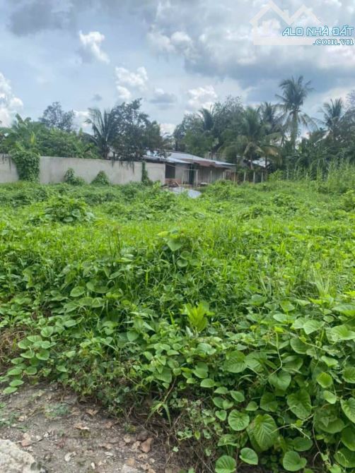Bán đất diện tích 3600m² (200m² ONT) tại Tân Phú Thạnh, Châu Thành A, Hậu Giang - 1