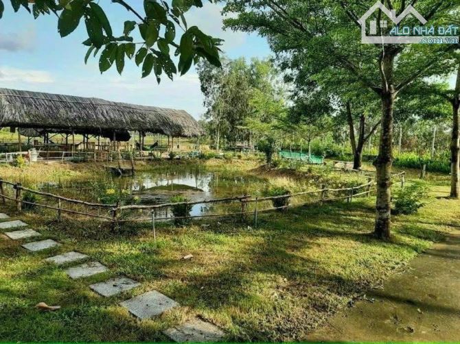 Cần bán đất + nhà vườn ở nghĩ dưỡng mặt tiền view kênh sông xã Thái Mỹ 5300m2 - 12
