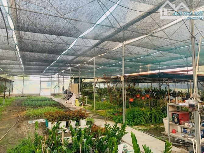 Cần bán đất + nhà vườn ở nghĩ dưỡng mặt tiền view kênh sông xã Thái Mỹ 5300m2 - 13