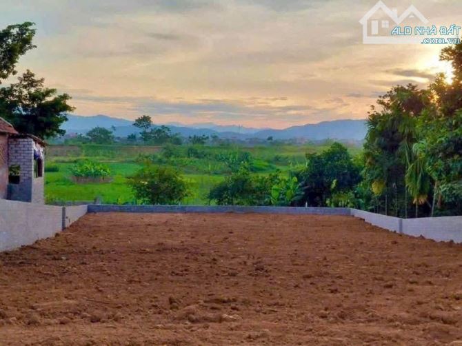 Đất đẹp Ao vua xã Tản Lĩnh, gần Vân Hòa, Vườn QG Ba Vì, 648m, view đồng, lô góc, 3.73tỷ - 2