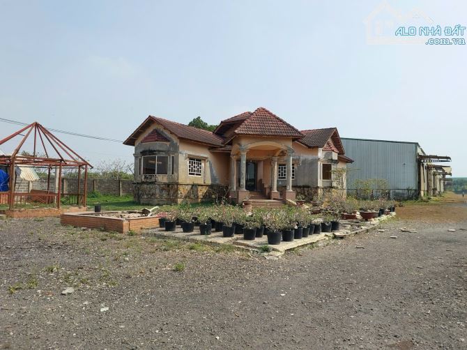 SIÊU HIẾM - Mặt Tiền DT 824, Hựu Thạnh, Đức Hoà , Long An - 25.000m2 QH ONT, Chỉ 4tr/m2! - 2
