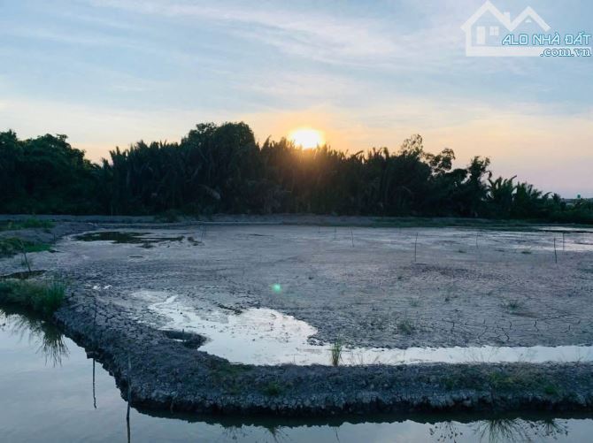 Đất lớn Đa Phước 5100m2 vị trí cao tốc tương lai tiện ích tăng trưởng. - 2