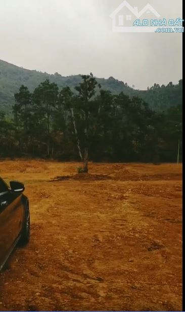 BÁN LÔ ĐẤT VÀNG 8000M² - ĐƯỜNG BÃI DÀI, TIẾN XUÂN, THẠCH THẤT - CƠ HỘI ĐẦU TƯ HIẾM CÓ! - 2