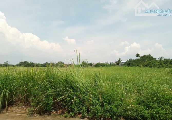 Đất Khủng 2595m2 có 26 tỷ x Mặt tiền Nguyễn Thị Điệp Đông Thạnh Hóc Môn TP. Hồ Chí Minh. - 2