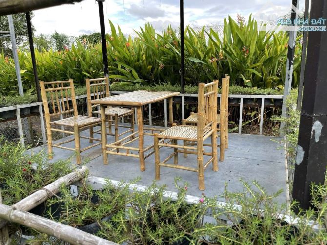Cần bán đất + nhà vườn ở nghĩ dưỡng mặt tiền view kênh sông xã Thái Mỹ 5300m2 - 2