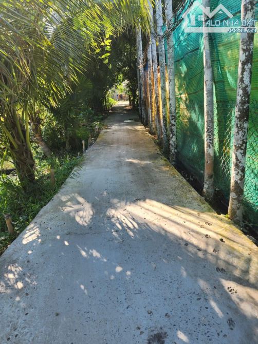 Bán đất diện tích 3600m² (200m² ONT) tại Tân Phú Thạnh, Châu Thành A, Hậu Giang - 2