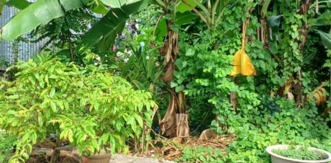🔰Bán nền: 55.4m² (4.1m x 13.48m) Đường Phan Thị Huỳnh, P.3, TP Cao Lãnh.mỗi nền: - 2
