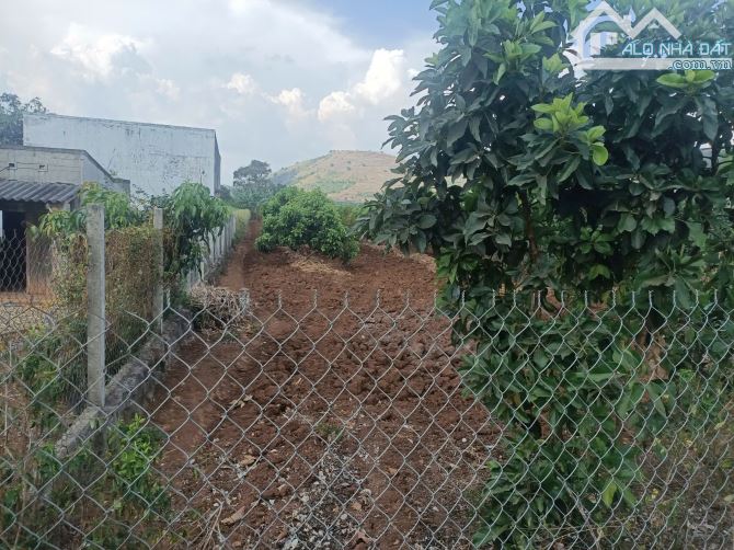 Bán đất MT DT724 kinh doanh Buôn Bán DT 9x89m tc100m2 Giá 4,2ty - 2