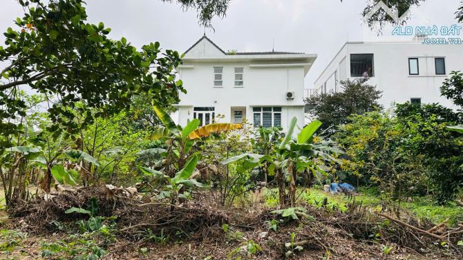 (Siêu rẻ) Đất khy Mê Linh, Anh Dũng - 290m2 - mt 14,5m - hướng TN - đường 25m - giá 22tr/m - 3