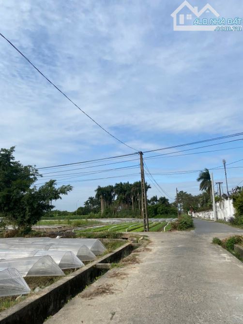 BÁN NHANH 40.8m ĐẤT THỐ BẢO, VÂN NỘI, ĐÔNG ANH, HÀ NỘI. - 3