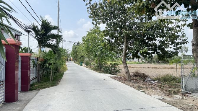 CẦN BÁN LÔ ĐẤT 300m2 MẶT TIỀN ĐƯỜNG BỜ LÁT XÃ THANH PHÚ BẾN LỨC - 3