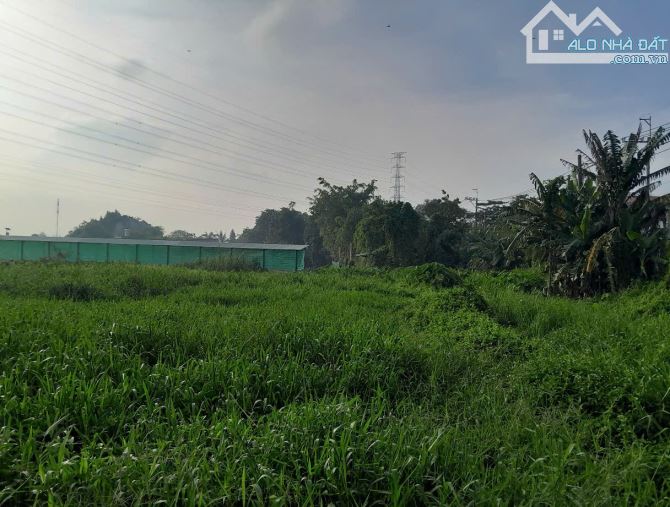 Đất Khủng 2595m2 có 26 tỷ x Mặt tiền Nguyễn Thị Điệp Đông Thạnh Hóc Môn TP. Hồ Chí Minh. - 3