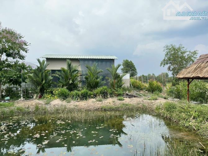 Cần bán đất + nhà vườn ở nghĩ dưỡng mặt tiền view kênh sông xã Thái Mỹ 5300m2 - 3