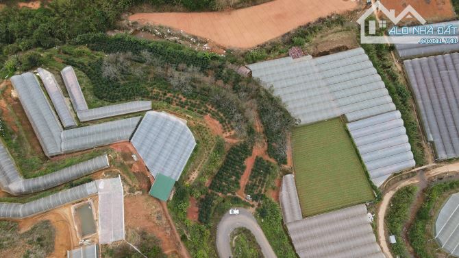 Bán 6 xào đất mặt nhựa Trại mát - p11 - Đà Lạt .  Gía 13 tỷ8 - 3